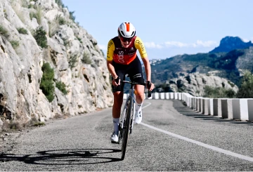 Image Ongoing Coaching